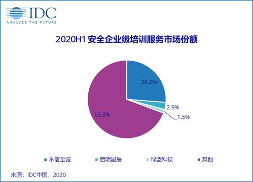 2020上半年中國IT安全服務市場穩健增長，市場規模達40.23億元